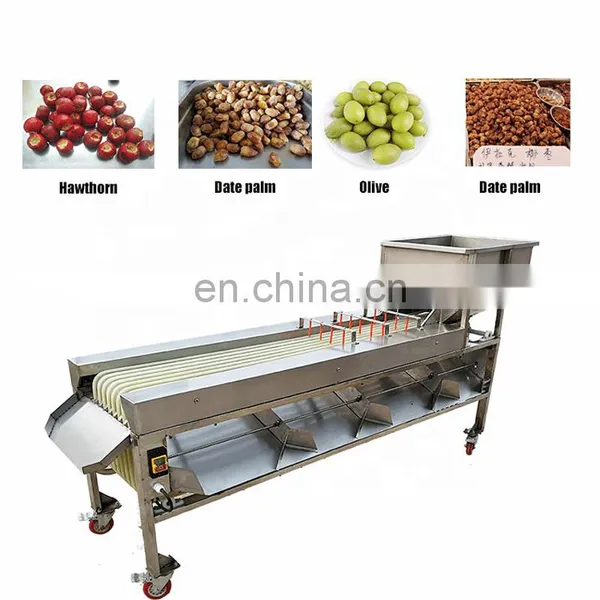Apple Grading Machine/Potato Sorting Machine/Apple Sorting Machine. photo-2