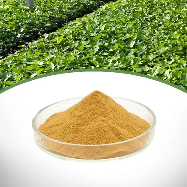 Ivy Leaf Extract