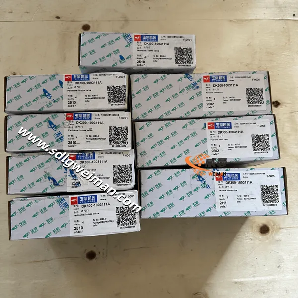 YUCHAI Intake Valve DK300-1003111A for YUCHAI Excavator photo-5