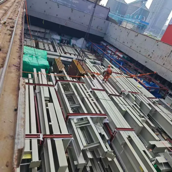 Roro & Break Bulk Shipping Service photo-2