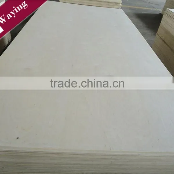 Specific Weight Birch Plywood photo-4