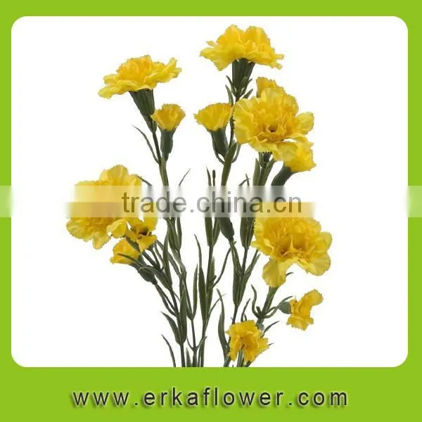 Diversified in Packaging New Coming Beautiful Fresh Carnation for Decoration photo-3