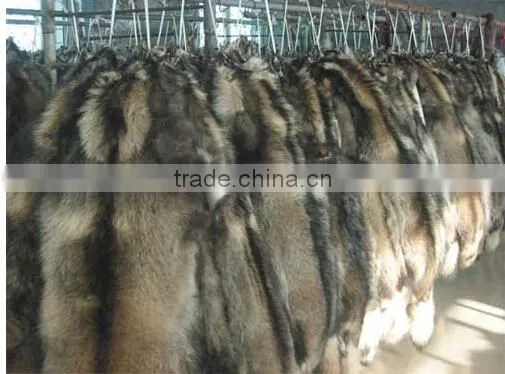 100% Natural Genuine Raccoon Fur Skin for Garment photo-3