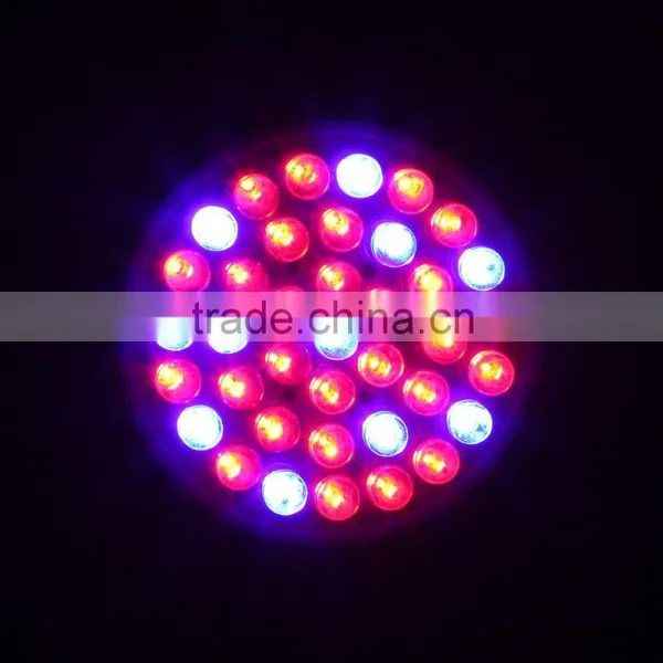 E27 28Red 10Blue 2.2W Plant Grow Light Bulb Garden Hydroponic Lamp 220-245V for Indoor Flower Plants Growth Vegetable Greenhouse photo-3