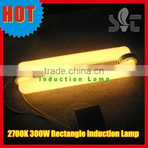 300W Warm 2700K Plant Growth Light/Induction Lamp/Electrodeless Discharge Lamp