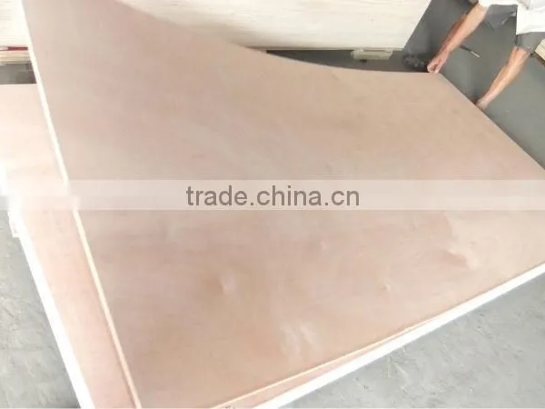 18MMX1220X2440 Competitive Price Commercial Plywood photo-4