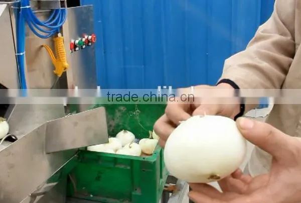 Single Conveyor Belt Onion Peeling Machine photo-4