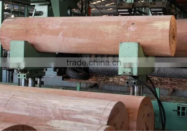 Wood Veneer Used for Plywood/engineered Wood Veneer/PLB Veneer