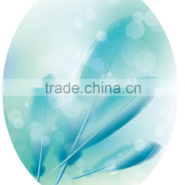 Widely Used Customized PVC Sticker Toilet Seat photo-3
