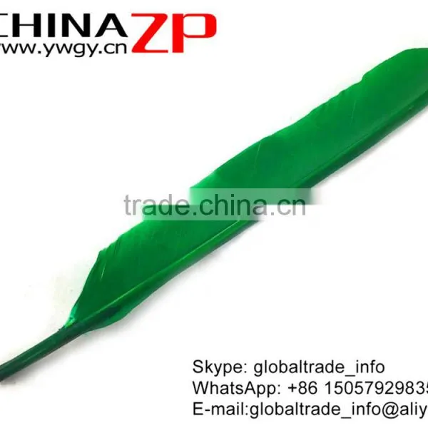 CHINAZP Factory Wholesale Plumage High Quality Bulk Dyed Kelly Green Turkey Rounds Quill Large Feather photo-3