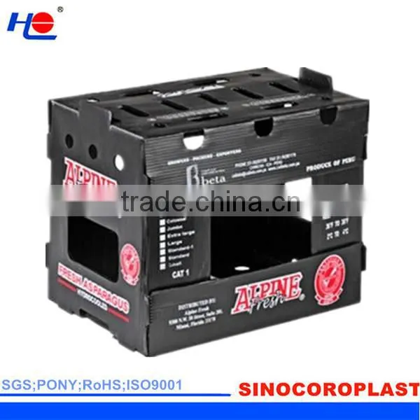 PP Vegetables Crates photo-5
