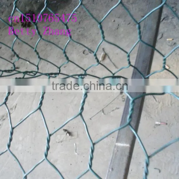 Hot Dipped Galvanized Gabion Hexagonal Wire Netting photo-2