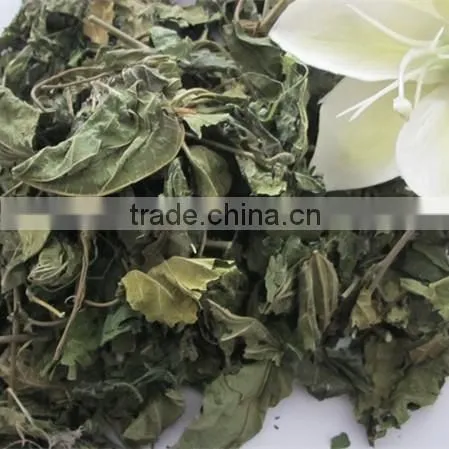 Dried Mulberry Leaf Herbal Remedies for Hypertension