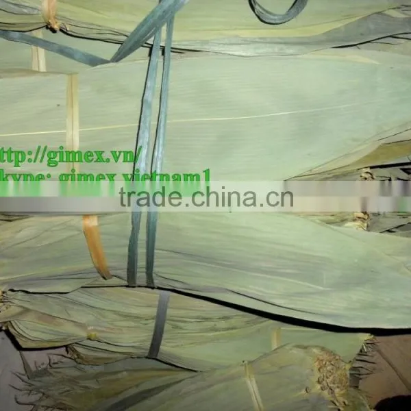 Viet Nam Big Size Bamboo Leaves photo-5