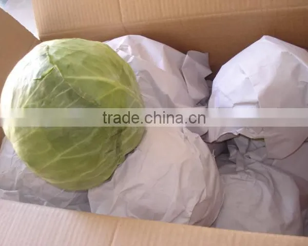 Round Cabbage/Flat Cabbage photo-4