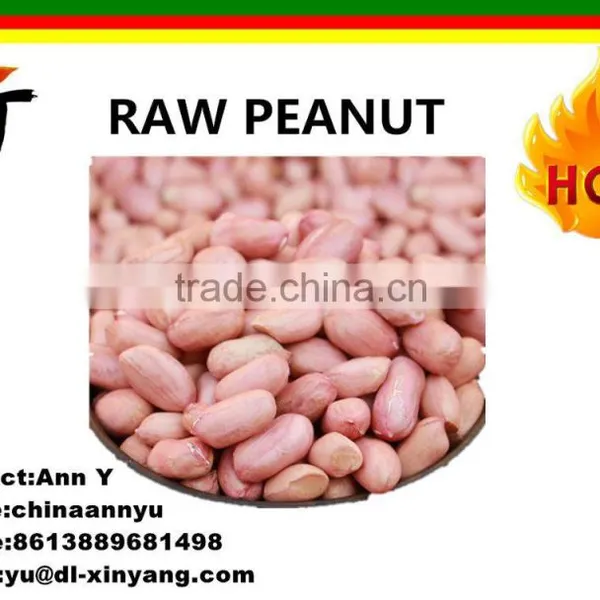 Wholesale Long Size Chinese Peanut Kernels From China photo-6