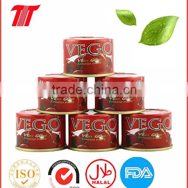 70g Tomato Paste of VEGO Brand Packing in Sachet photo-2