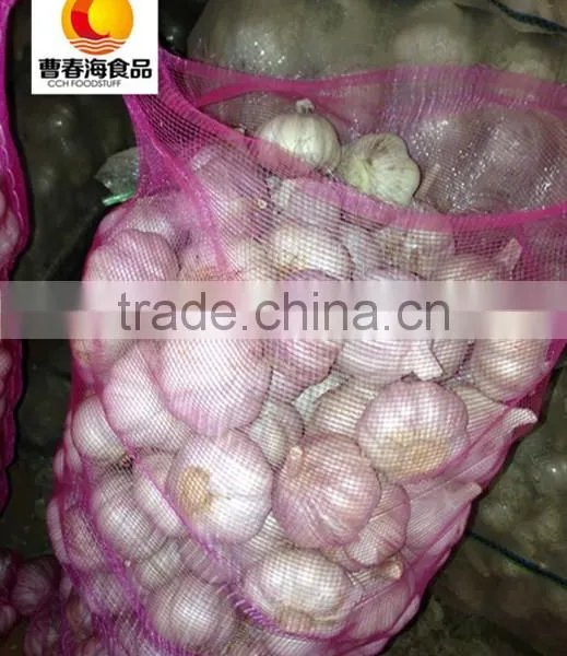 China New Crop Dried White Garlic photo-6