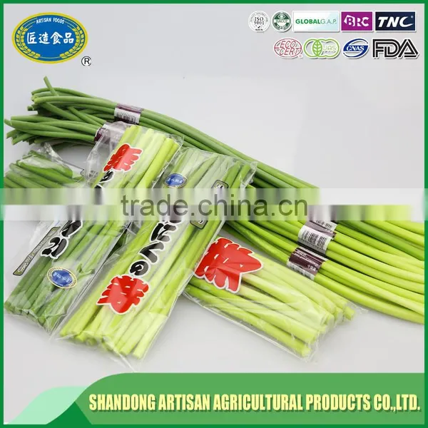 2016 Garlic Sprout,garlic Sprout Price photo-2