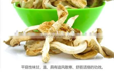 Dried Hot Sell Oyster Mushroom photo-4