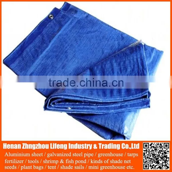 pe Plastic Mesh Tarp Fabric Sheet for Tent , Low Poly Tarp Rolls Material Price , Heated Polyethylene Logo Tarp Fabric for Tent photo-5