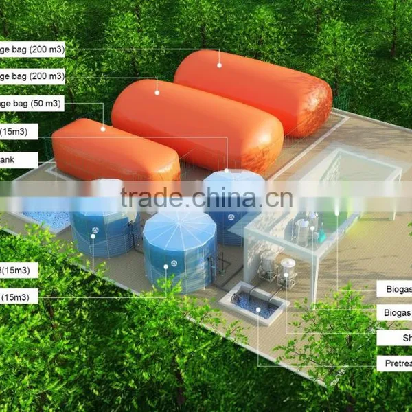 Farm Use Biomethanation Biogas Digester Cost photo-5