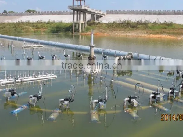 High Quality Floating Lake Fountain in China photo-5