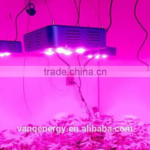 300w Led Grow Light High Power Hydroponic/aquaponic LED Cob Plant Lighting photo-2