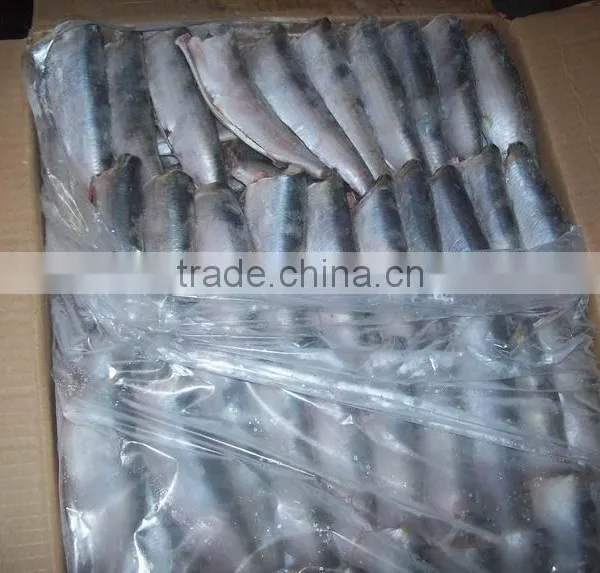 Canned Sardine/wholesale Sardines