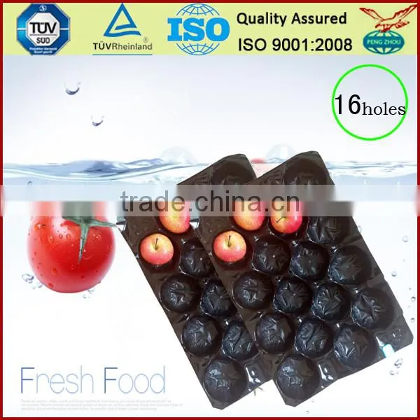 Customed SGS/FDA Testing PP Fruit Pear Alveols Tray photo-6