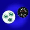 3W High Power Emitter 3EWJ41E-5-97