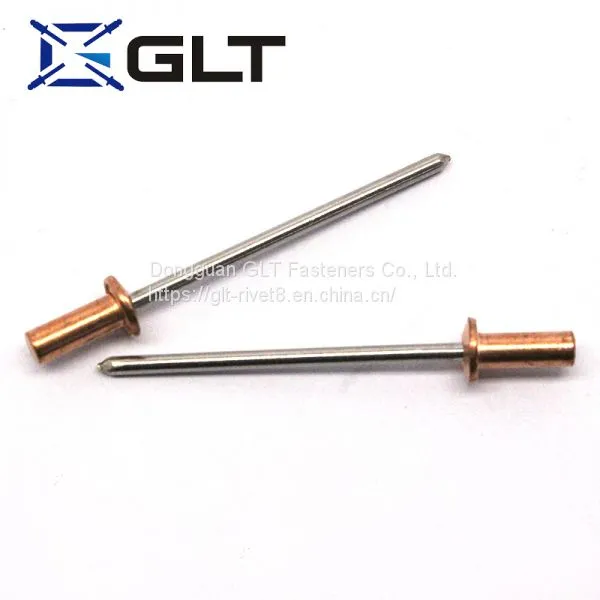 Copper Pop Domed Head Sealed Type Blind Rivets photo-4