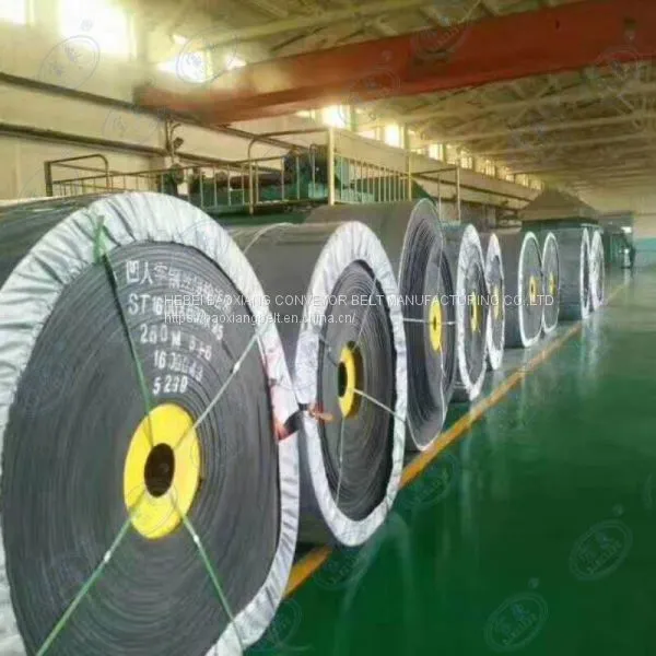 Acid-alkali Resistant Conveyor Belt Conveyor Belt Wholesaler Material Handling Conveyor Belt photo-3