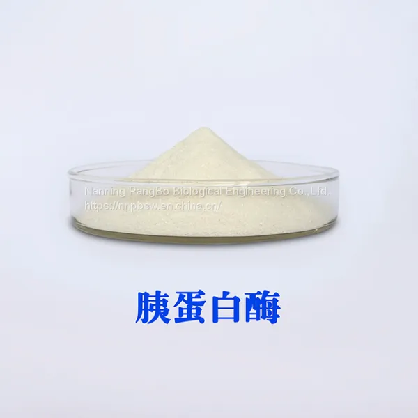 Trypsin CAS NO.9002-07-7 Food Grade photo-2