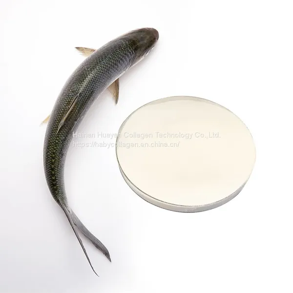 Hydrolyzed Oem Fish Collagen Peptides Powder Private Label Collagen Peptides photo-3
