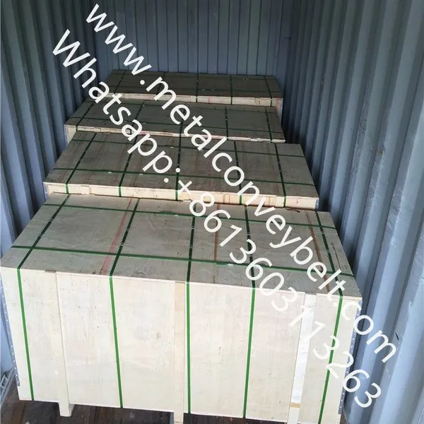 Corrosion and High Temperature Resistance 304 Stainless Steel Wire Mesh Ladder Chain Conveyor Belt photo-3