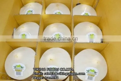 FROZEN COCONUT MILK & OTHER COCONUT PRODUCTS - VIETNAM photo-2