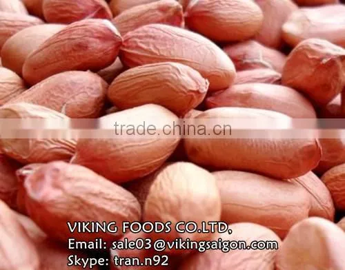 RAW PEANUTS KERNEL/GROUNDNUTS_VIETNAM_HIGH QUALITY photo-3
