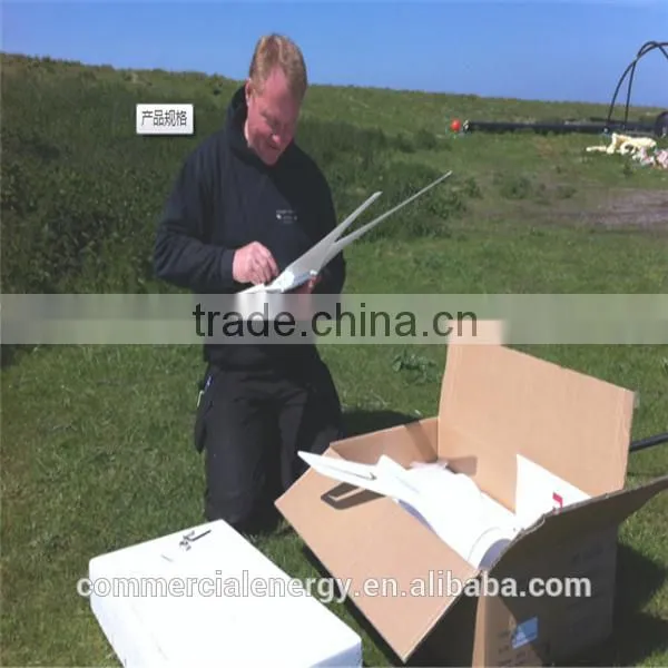 High Quality Wind Generator China Wind Turbine Generator Wind Power Generator photo-5