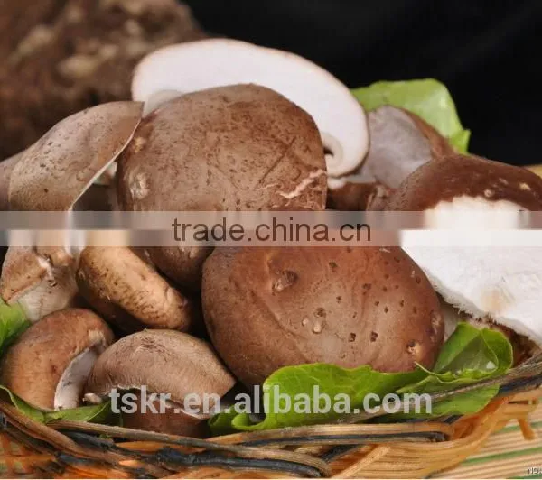 Fresh Shiitake Mushroom photo-2