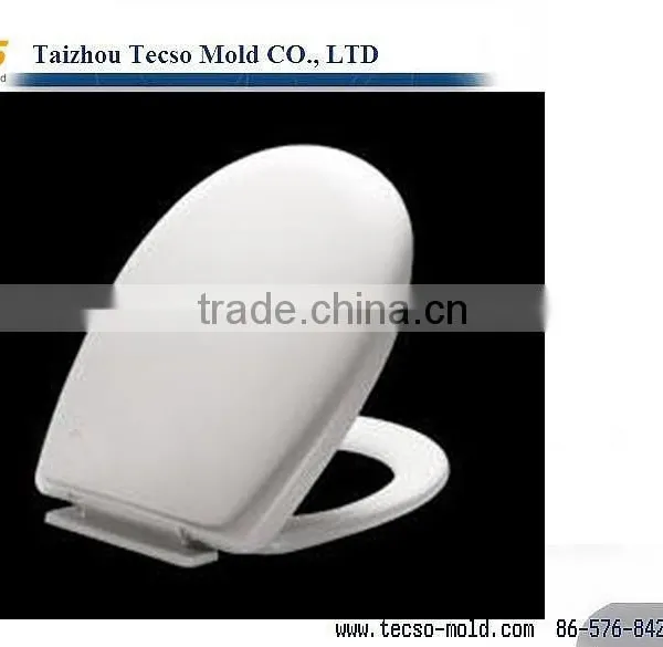 Plastic Toilet Seat /toilet Cover Mould Supplier photo-3