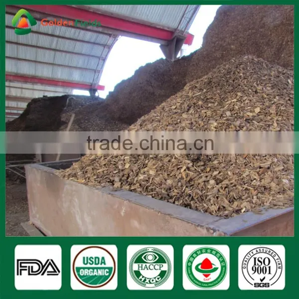 Gourmet Shiitake Mushroom Fresh Dry Shiitake Mushroom Seeds Growing Lentinula Edodes Health Food Donko Shiitake photo-2