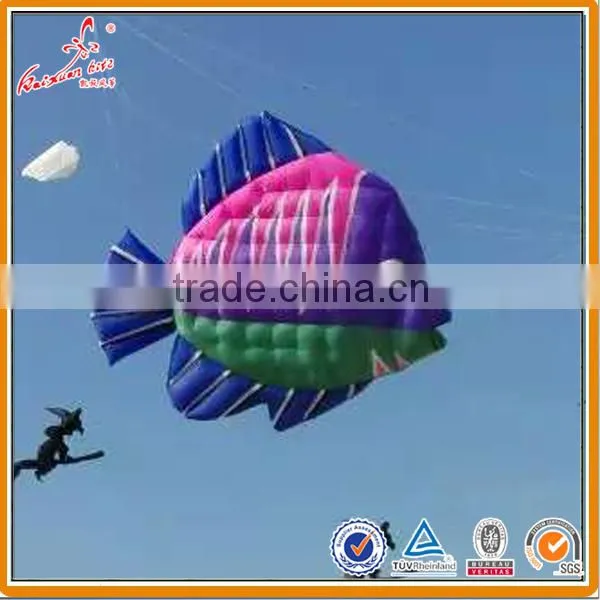 Fish Kite, Inflatble Kite, Large Show Kite From Weifang Kite Factory. Quality Choice photo-5
