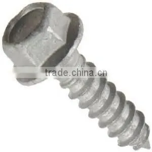 Hot Dipped Galvanized Hex Flange Lag Bolts (Screws)