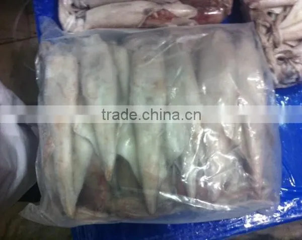 SQUID WHOLE SEMI NEEDLE photo-4