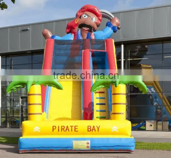 Good Price Inflatable Slide on Selling, Professional Inflatables Factory in China photo-2