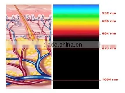 ICE SHR SSR Hair Removal Skin Rejuvenation Pigmentation&Vascular&Acne&Spot Removal Beauty Salon Equipment&Machine photo-6