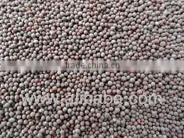 Mustard Seeds