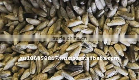 Australian organic rye grain