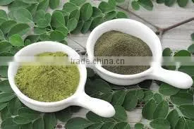MORINGA POWDER/ NUTRITION FOOD photo-2